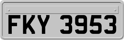 FKY3953
