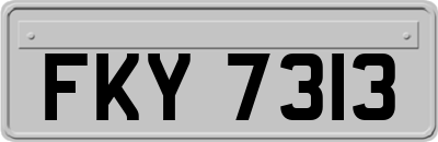 FKY7313