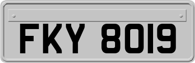 FKY8019