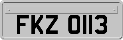 FKZ0113