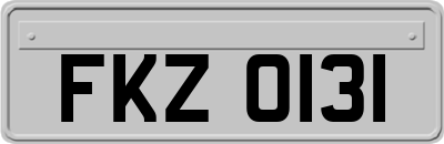 FKZ0131