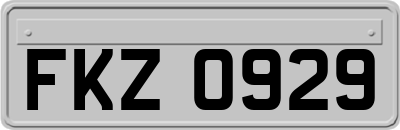 FKZ0929