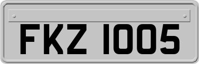 FKZ1005