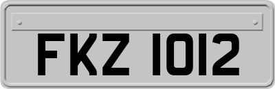 FKZ1012