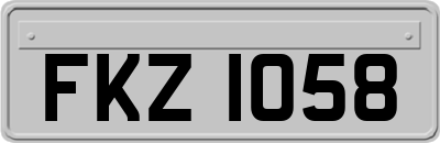 FKZ1058