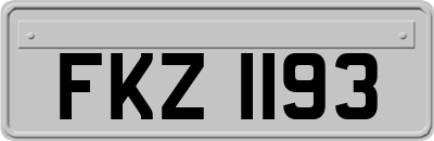 FKZ1193