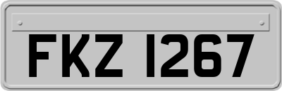 FKZ1267
