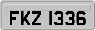 FKZ1336