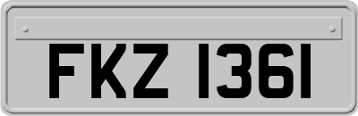 FKZ1361