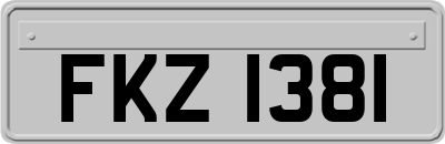 FKZ1381
