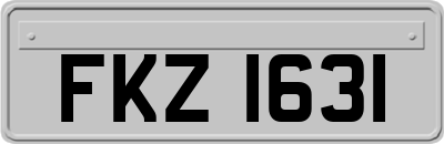 FKZ1631