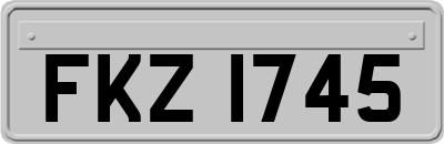 FKZ1745