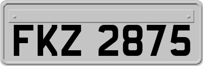 FKZ2875