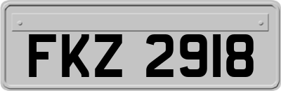 FKZ2918