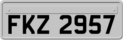 FKZ2957