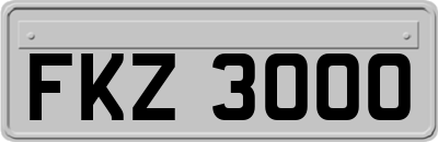 FKZ3000