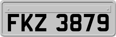 FKZ3879