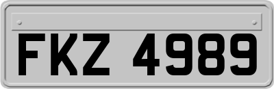 FKZ4989