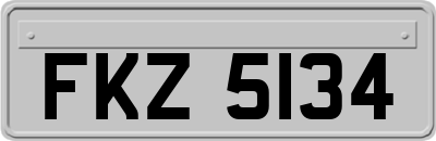 FKZ5134