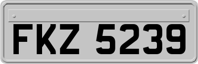 FKZ5239