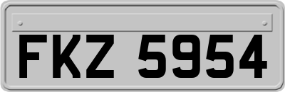 FKZ5954
