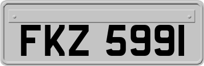 FKZ5991