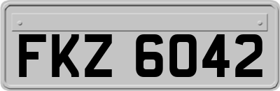 FKZ6042