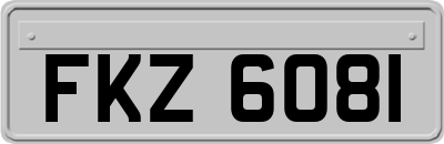 FKZ6081
