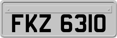 FKZ6310