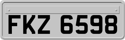 FKZ6598