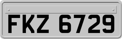 FKZ6729