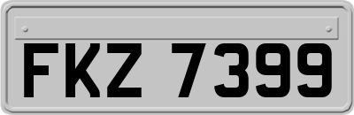 FKZ7399