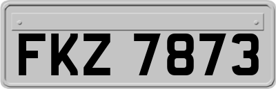 FKZ7873