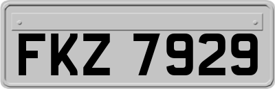 FKZ7929