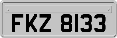 FKZ8133
