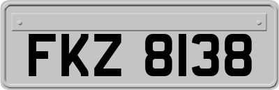FKZ8138