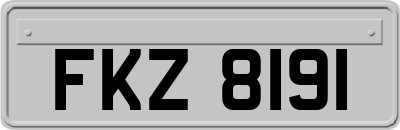 FKZ8191