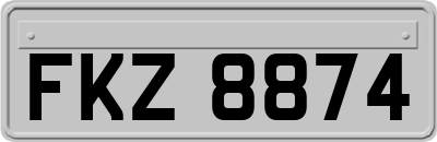 FKZ8874