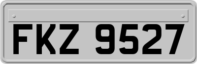 FKZ9527