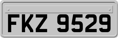 FKZ9529