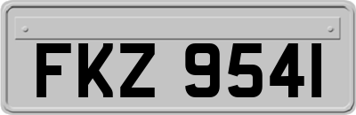 FKZ9541