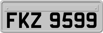 FKZ9599