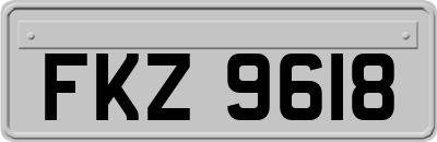 FKZ9618