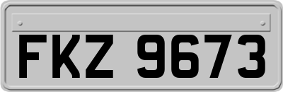FKZ9673