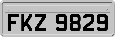 FKZ9829