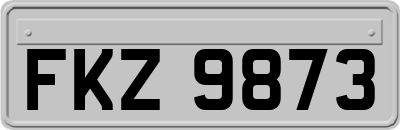 FKZ9873