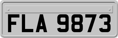 FLA9873