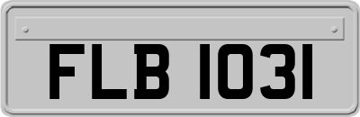 FLB1031
