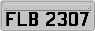 FLB2307