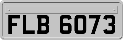FLB6073